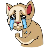 😭 cat, crying, sad, animal, cartoon telegram sticker