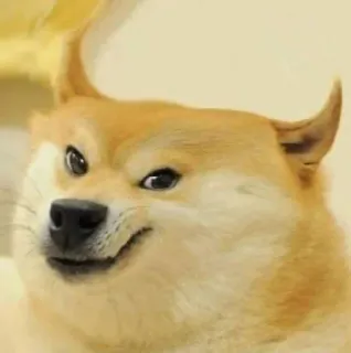 😈 Doge chó, meme, hài hước, internet, động vật telegram sticker