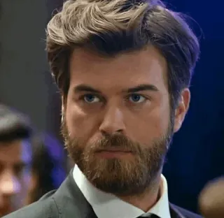 💱 homme, portrait, barbe, sérieux, beau, acteur telegram sticker