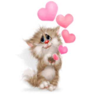 ❤️ gato, corações, fofo, animal, amor, desenho animado whatsapp sticker