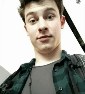 😳 Shawn Mendes celebrità, cantante, maschio, ritratto, shawn mendes telegram sticker