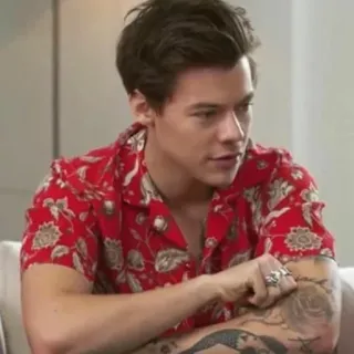🌿 Harry Styles harry styles, chanteur, chemise rouge, tatouages, chemise fleurie telegram sticker