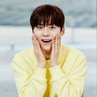 ☘ coreano, hombre, sonrisa, retrato, feliz, persona, asiático telegram sticker