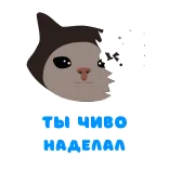 😿 ТЫ ЧИВО НАДЕЛАЛ cat, question, russian, confused telegram sticker