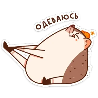 🧦 ОДЕВАЮСЬ เม่น, น้ำสลัด, น่ารัก, สัตว์, สติกเกอร์ telegram sticker