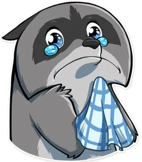😢 너구리, 울음, 슬픔, 눈물, 동물 telegram sticker