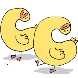 👯 เป็ด, สัตว์, นก, การ์ตูน, น่ารัก, สีเหลือง telegram sticker