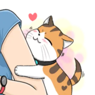❤️ кот, объятие, любовь, питомец, милый, животное, стикер telegram sticker