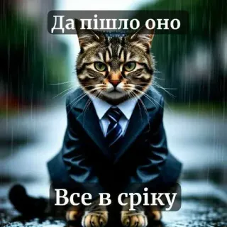 😣 Да пішло оно Все в сріку telegram sticker