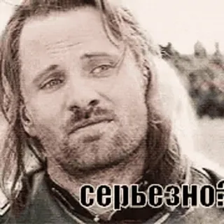 👎 Aragorn Lord of the Rings серьезно? film, meme, Viggo Mortensen, serieus, vraag telegram sticker