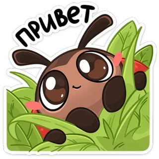 👋 ПРИВЕТ การ์ตูน, สัตว์, น่ารัก, หญ้า, ตา, ทักทาย, สวัสดี telegram sticker