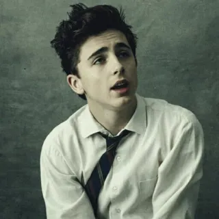 😦 Timothée Chalamet ator, retrato, jovem, gravata, homem, celebridade telegram sticker