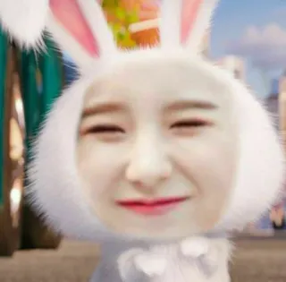 🐰 telegram sticker