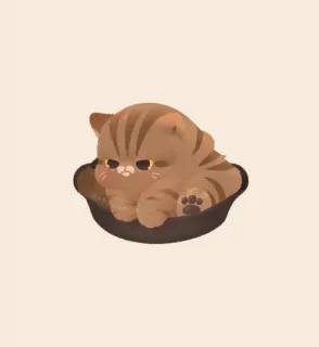 🐱 chat, mignon, chaton, animal telegram sticker