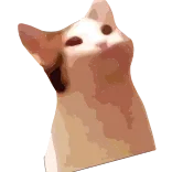 😊 chat, animal, mème, Popcat telegram sticker