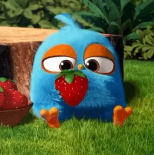 〰 mignon, oiseau, fraise, bleu, dessin animé, animal telegram sticker