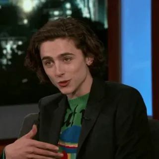 🥀 Timothée Chalamet diễn viên, người nổi tiếng, người, talk show telegram sticker