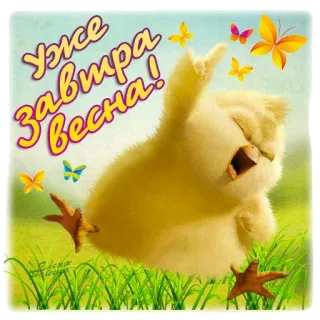 🐥 Уже завтра весна! spring, bird, butterfly, cute, animals, nature, easter telegram sticker