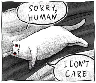 🔴 SORRY, HUMAN
I DON'T CARE cat, sorry, human, animal, cartoon, indifference, humor telegram sticker
