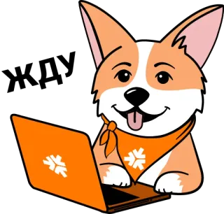 👨‍💻 corgi, cane, laptop, animale, carino, cartone animato telegram sticker