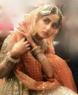 👀 woman, bride, traditional clothing, jewelry, portrait, fashion, wedding, beautiful telegram sticker