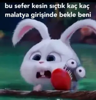 😰 bu sefer kesin sıçtık kaç kaç malatya girişinde bekle beni 토끼, 동물, 웃긴, 농담, 유머 whatsapp sticker
