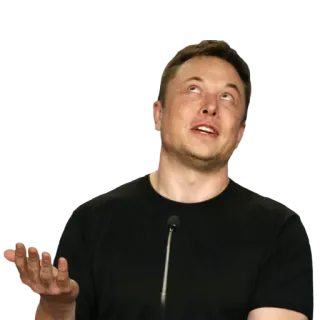 💁‍♂ Elon Musk Meme, Pessoa, Empresário, Tecnologia, Expressão telegram sticker