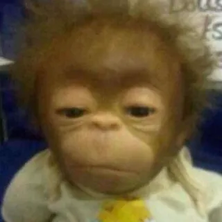😒 scimmia, scimmia antropomorfa, animale, bambola, bebè telegram sticker