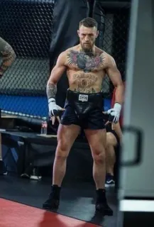 👑 Conor McGregor MMA, бои, спорт, Конор МакГрегор, атлет, бокс, фитнес whatsapp sticker