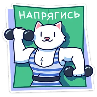 💪 НАПРЯГИСЬ gato, halterofilia, fitness, músculo, dibujo animado, animal, ejercicio, mancuerna whatsapp sticker