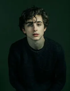 🖤 Timothée Chalamet actor, portrait, celebrity, man telegram sticker