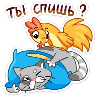 😴 Ты спишь? 猫, 鸡, 动物, 睡眠, 睡觉, 枕头, 可爱 telegram sticker
