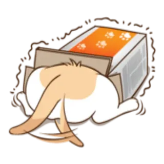 🙀 kucing, kotak, hewan, peliharaan, lucu, ceria, imut telegram sticker