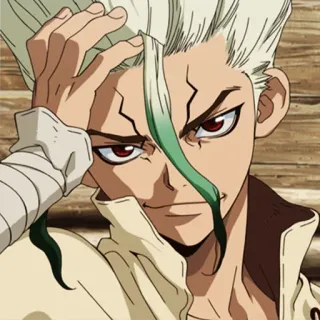 🔬 Senku Ishigami Dr. Stone Аниме, Персонаж, Сенку Ишигами, Доктор Стоун, Учёный, Манга, Анимированный whatsapp sticker