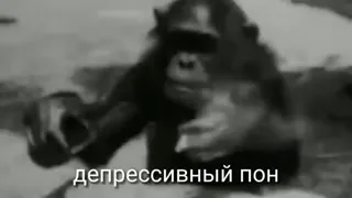 😔 депрессивный пон scimmia, scimmia, triste, depressione, meme telegram sticker