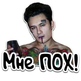 🍍 Мне пох! russisch, Meme, Text whatsapp sticker