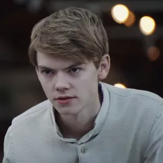 👤 Thomas Brodie-Sangster acteur, portrait, célébrité, jeune homme telegram sticker