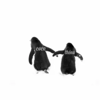 Athéna's Pinguin telegram stickers