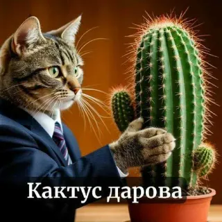 🌵 Кактус дарова telegram sticker