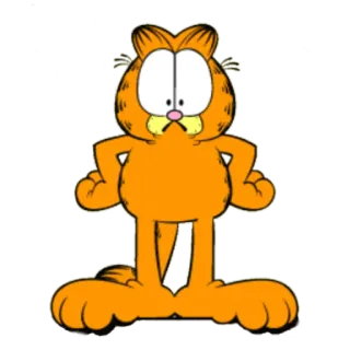 Garfield & friends whatsapp stickers