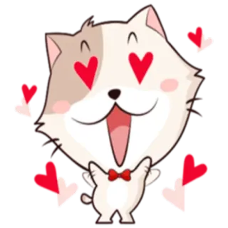 😍 chat, amour, cœur, mignon, joyeux, Saint-Valentin, chaton telegram sticker