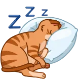 😴 gatto, dormire, cuscino, animale, carino telegram sticker