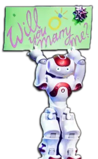 🇸🇲 Will you marry me? Roboter, Hochzeit, Heiratsantrag, Liebe, Ring, Verlobung telegram sticker