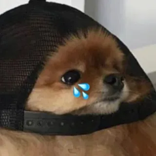 😢 telegram sticker