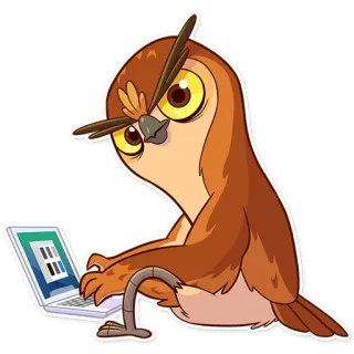 😑 burung hantu, komputer, laptop, burung, hewan telegram sticker