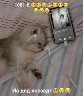 😭 Йа дед инсаедт Katze, Kopfhörer, Musik, schläfrig, süß, Handy telegram sticker