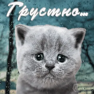 😢 Грустно... whatsapp sticker