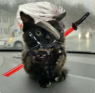 ❤️ Raiden Metal Gear Rising: Revengeance gatto, cyborg, ninja, spada, gioco, Metal Gear telegram sticker