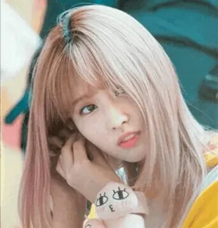 🐤 femme, fille, portrait, personne, kpop, idole, momo, twice telegram sticker