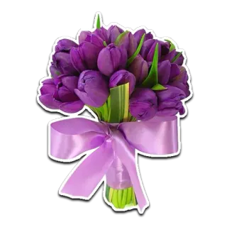 🌸 flower, bouquet, purple, tulip, floral, gift whatsapp sticker